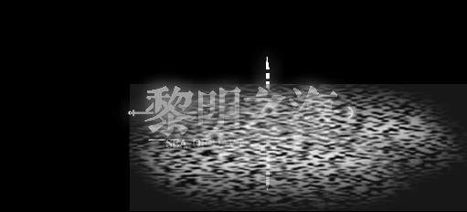 /uploadfile/2025/0323/20250323145217412.jpg